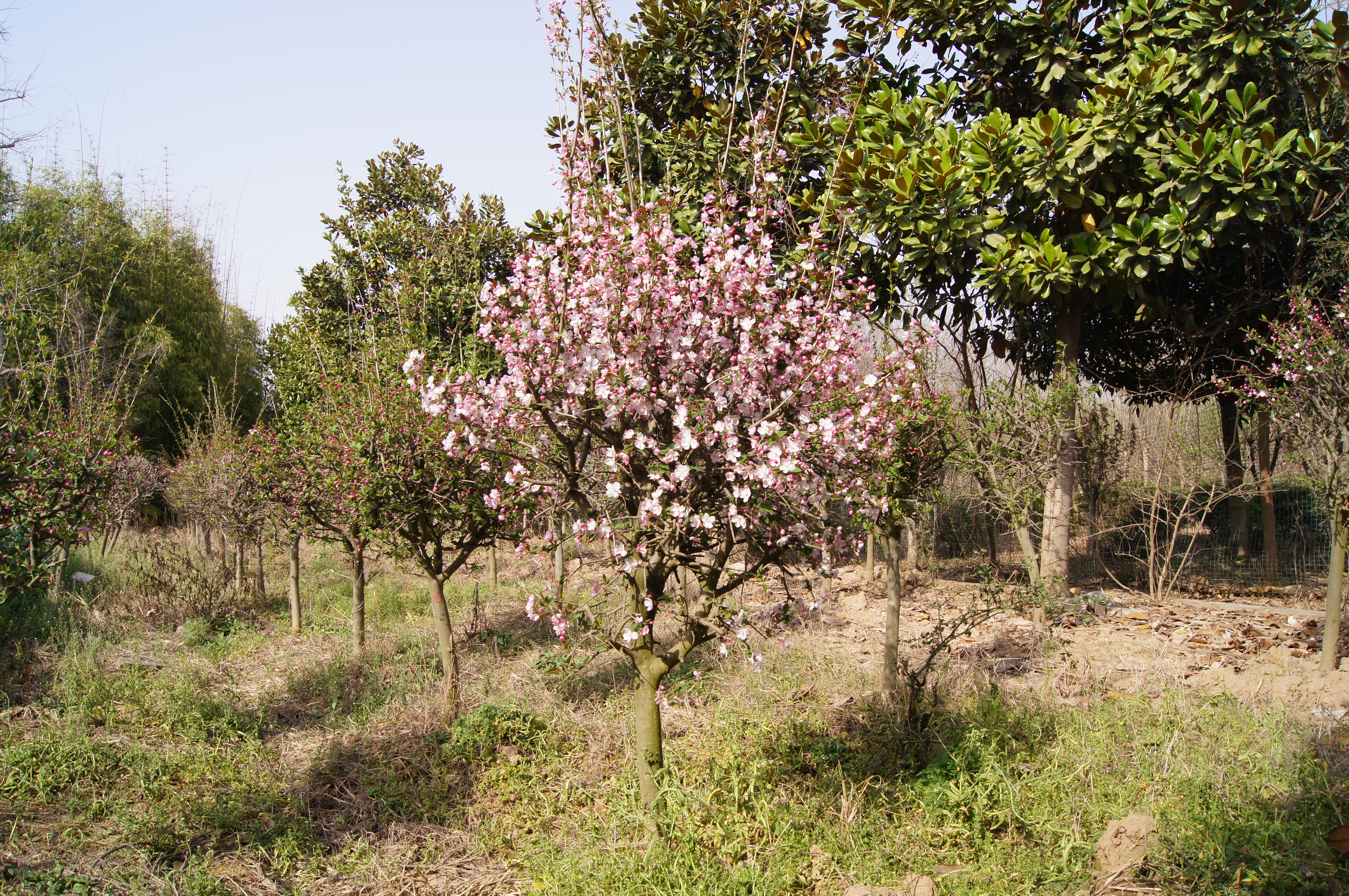 DSC00128.JPG