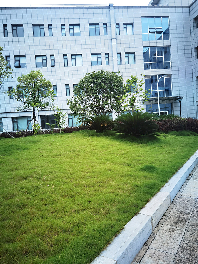 湖北華強科技退城搬遷綠化工程項目 (6).jpg