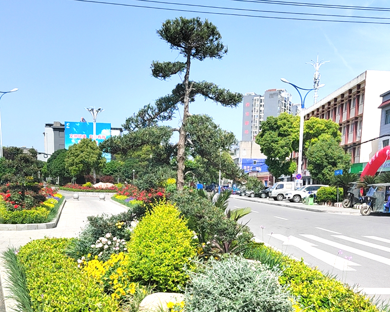 董市集鎮(zhèn)美麗節(jié)點(diǎn)生態(tài)建設(shè)項(xiàng)目（枝江市董市鎮(zhèn)心連心廣場改造項(xiàng)目）
