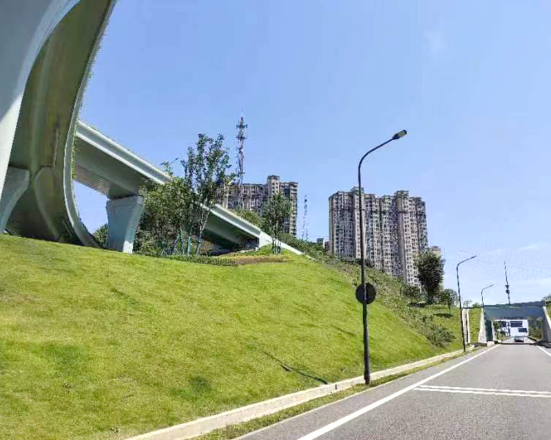 三峽快速路互通立交-西陵二路節(jié)點互通綠化工程