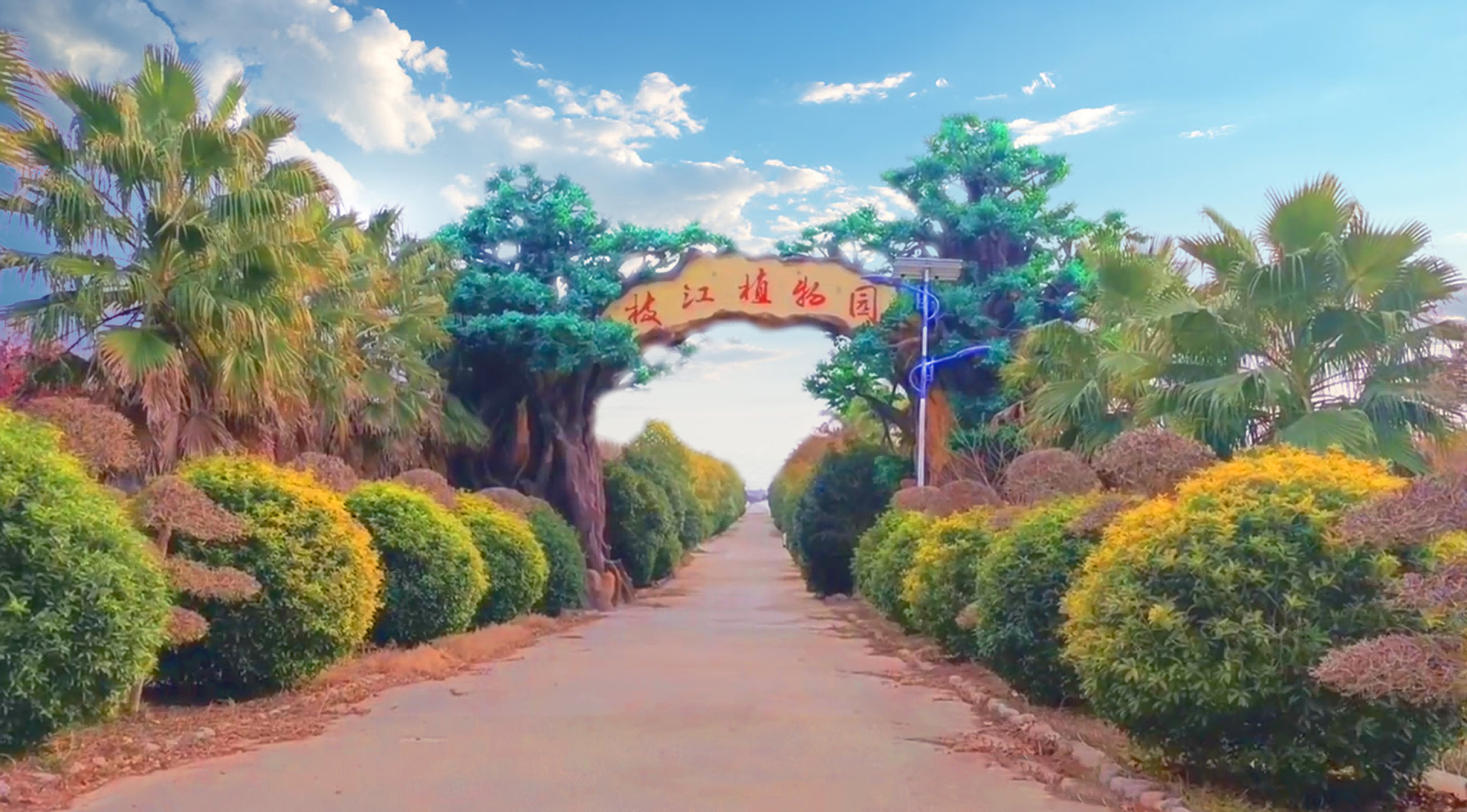 景觀(guān)設(shè)計(jì),景觀(guān)施工